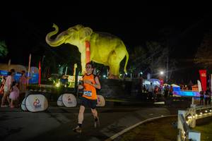 BIB: 
                            <button type="button" onclick="openModal(26552376)" class="btn btn-primary btn-sm float-right btn-popup" data-toggle="modal" data-target=".modal-high-quality">
                        <i class="fas fa-shopping-cart"></i> Add to Cart
                    </button>
                                            <button type="button" onclick="isThisMe(26552376, true)" class="btn btn-success btn-sm float-right btn-popup btn-isme hidden" data-toggle="tooltip" data-placement="bottom" title="นี่คือรูปของคุณใช่ไหม คลิกที่นี่เพื่อเอาเข้าอัลบั้ม">
                        <i class="fas fa-plus"></i> Add to album
                    </button>
                    <button type="button" onclick="isThisMe(26552376, false)" class="btn btn-warning btn-sm float-right btn-popup btn-isnotme hidden">
                        <i class="fas fa-ban"></i> Remove from album
                    </button>